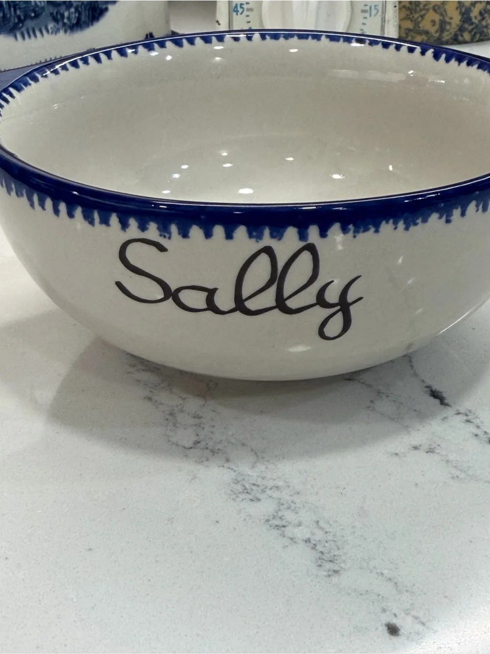 Any one named Sally? Ceramic Serving Bowl - Blue and White Vintage